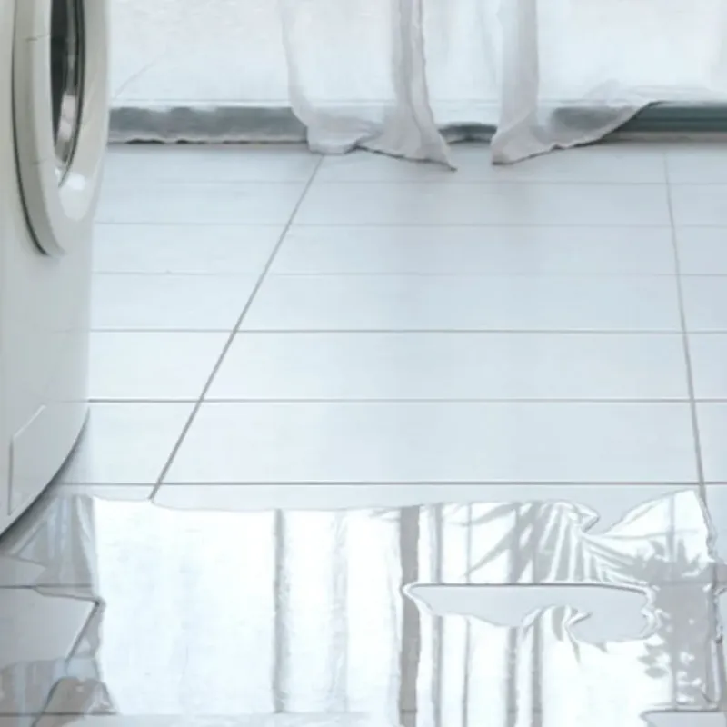 Appliance Leak Cleanup in Economy, PA