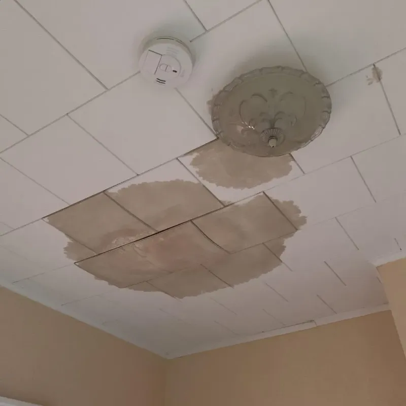 Ceiling Water Damage Repair in Economy, PA