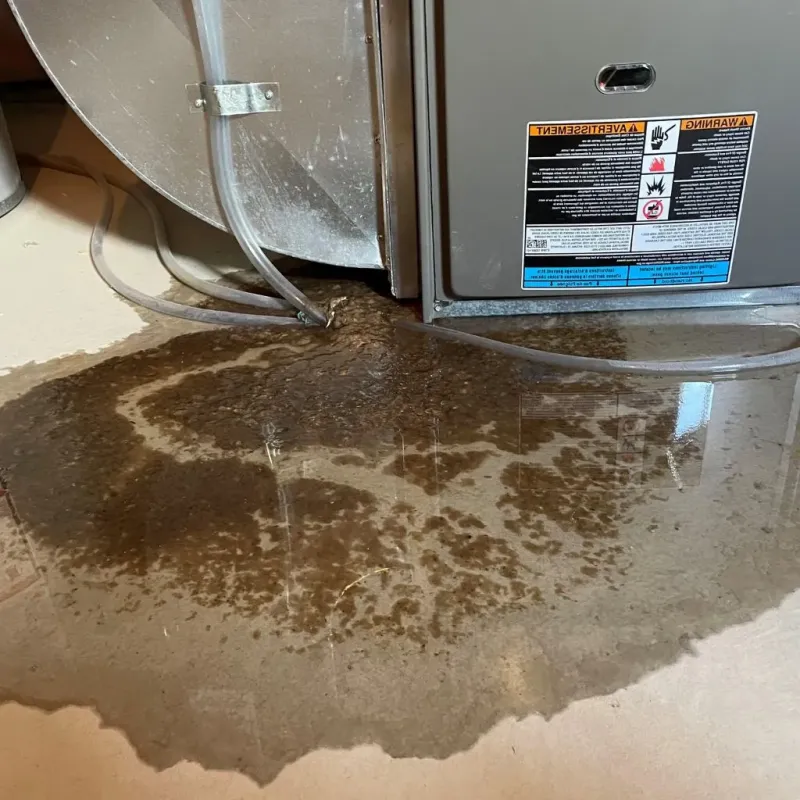 Pipe Burst and Leak Restoration in Economy, PA
