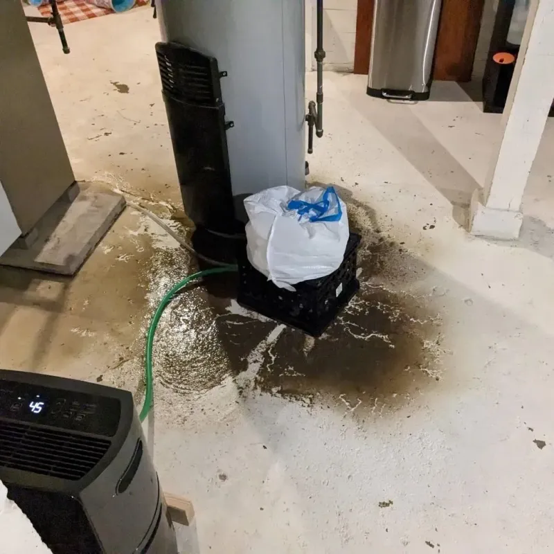 Sewage Backup Cleanup Service in Economy, PA